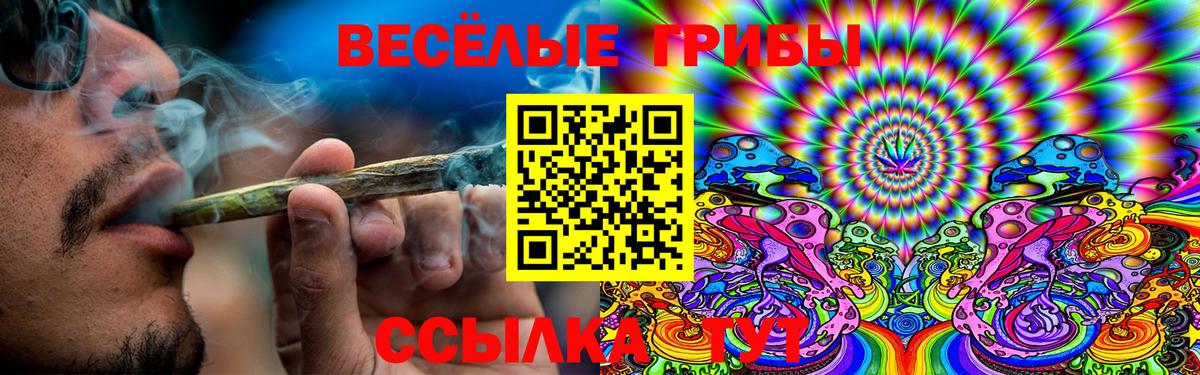 Галлюциногенные грибы GOLDEN TEACHER  Галлюциногенные грибы мухоморы  Вход с VPN  Клинцы 
