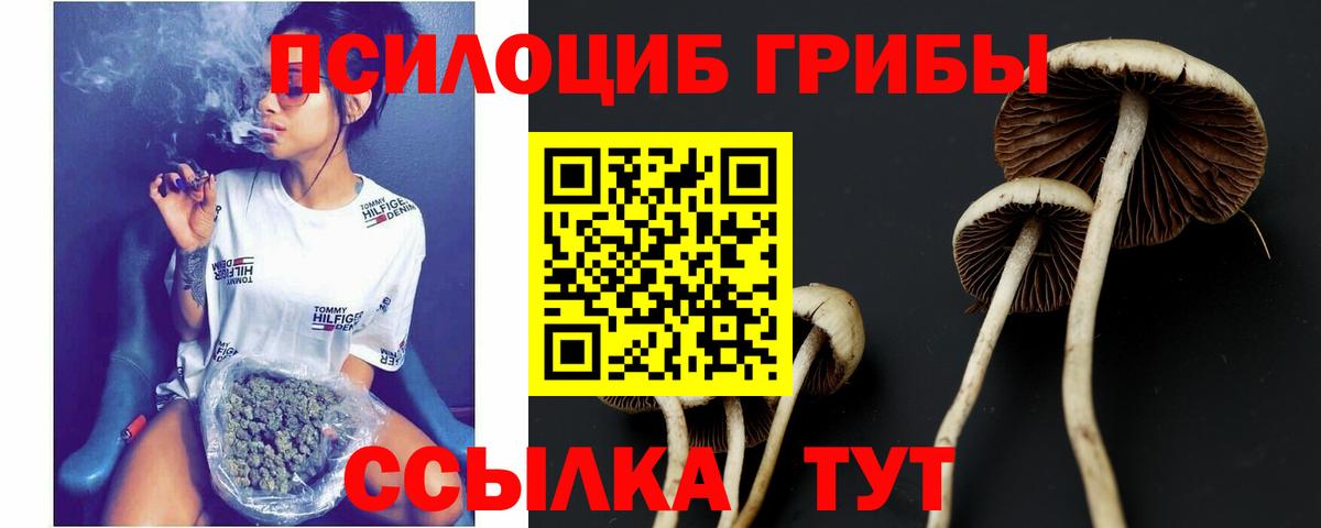 Псилоцибиновые грибы GOLDEN TEACHER Клинцы